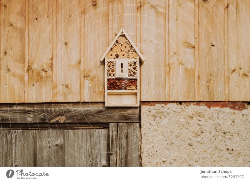 Insect hotel on a shed insect hotel insects Garden allotment Flake tepid Wood Garden plot Garden allotments Copy Space