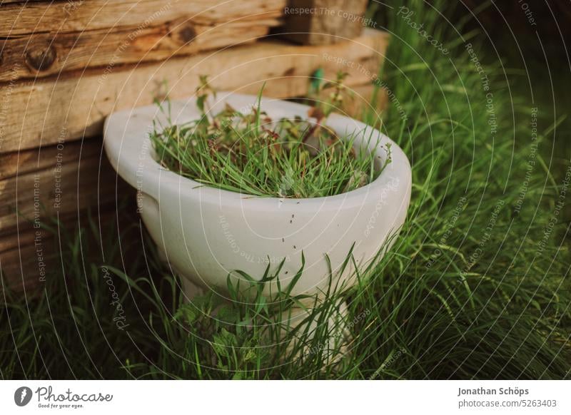 Growth from the toilet Toilet toilet house john Grass Garden Humor wittily wax New circulation Nature's cycle Pottery toilet bowl Colour photo Transience