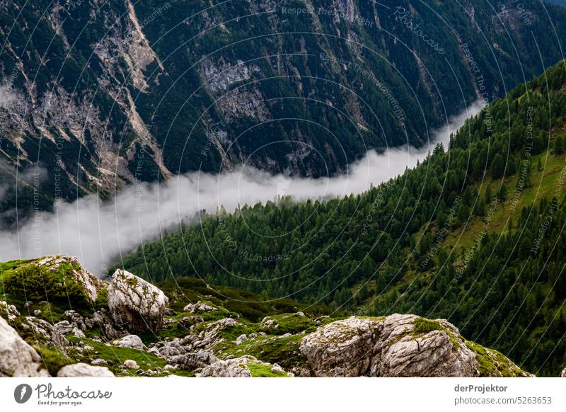 Morning mountains in fog in Triglav National Park Panorama (View) Long shot Deep depth of field Sunrise Sunbeam Light (Natural Phenomenon) Reflection Silhouette