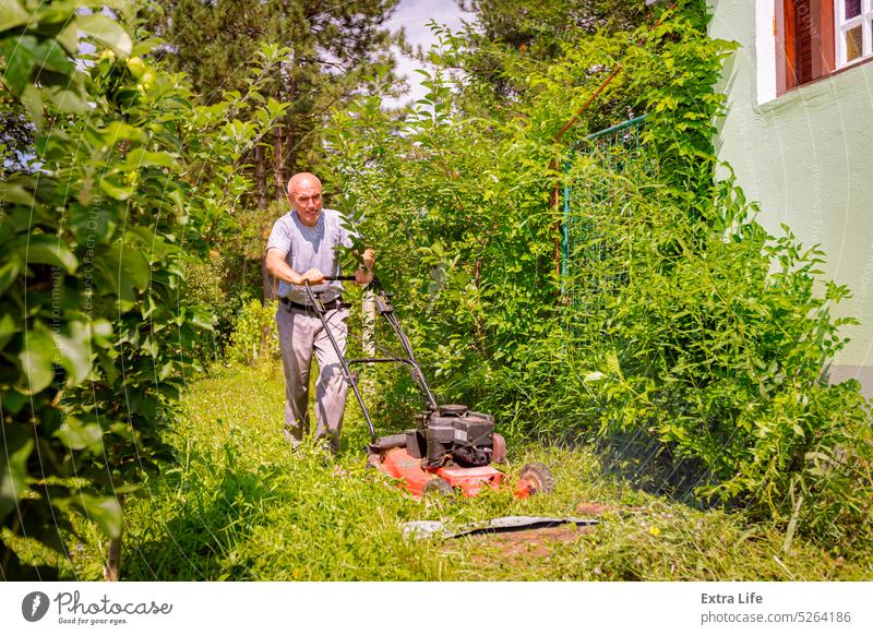 Farmer is mowing lawn in the garden with a petrol lawn mower Backyard Bloom Botanic Botanical Care Clipper Cultivate Cut Cutter Early Engine Equipment Field