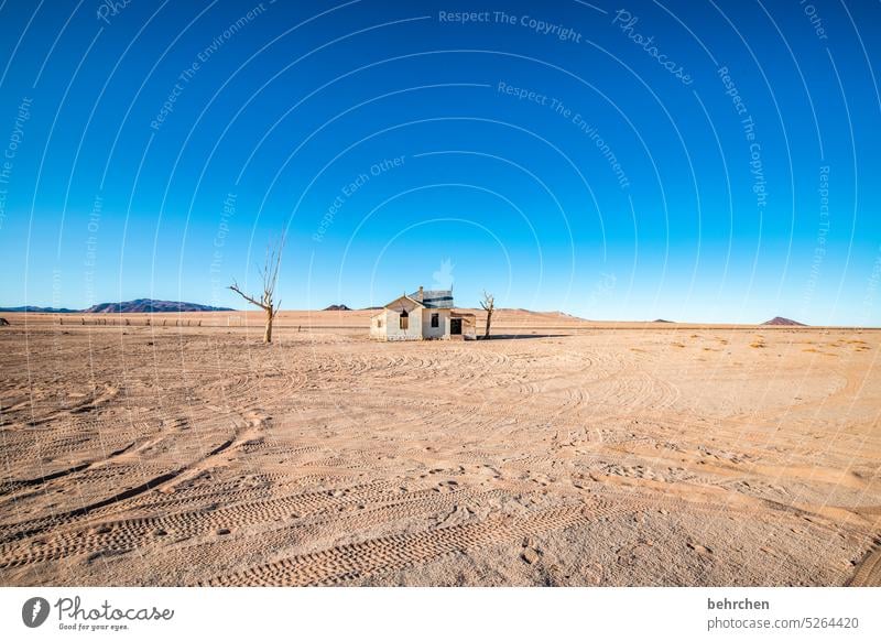 live better Architecture Loneliness Landscape Train station Old Broken corrupted House (Residential Structure) decay Sunlight Sand Ruin Ghost town Kolmannskuppe