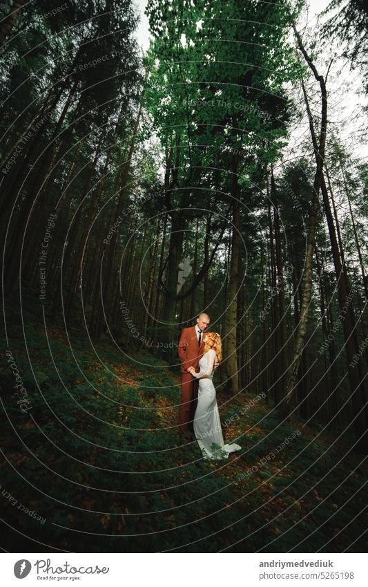 The bride and groom go through the forest hand in hand. Happy bride and groom holding hands and walking in forest on wedding day. happy nature white summer love