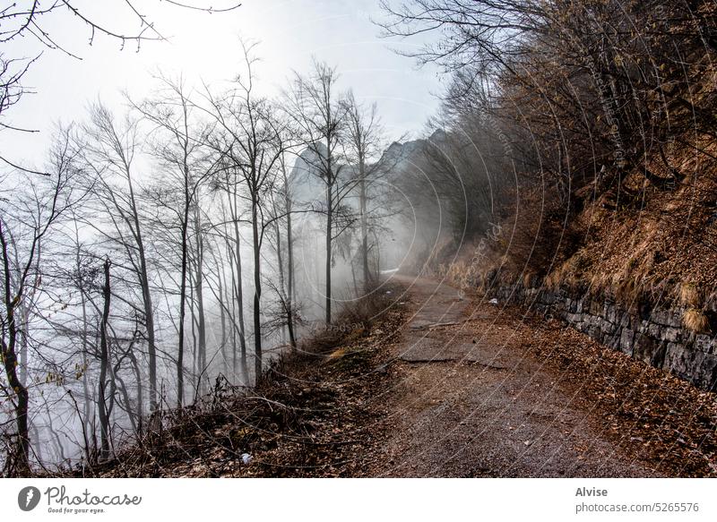 2023 02 18 Campogrosso loneliness mountain road nature landscape tree fog forest travel beautiful sky hill background grass view green cloud countryside summer