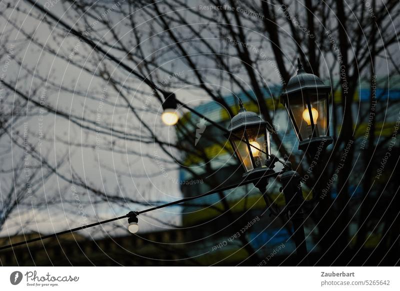 Street lamps at dusk with two bulbs of string of lights in front of bare tree streetlamp Twilight Fairy lights somber Tree Bleak branches Lighting light bulb