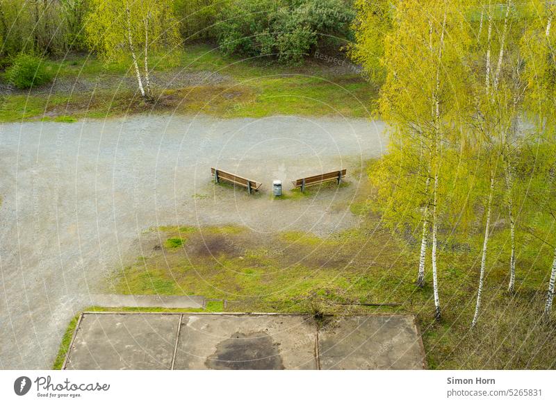 Park benches as a meeting place Meeting point Deserted Break take a break Sit Bench Relaxation Seating Loneliness Infrastructure communication Birch tree