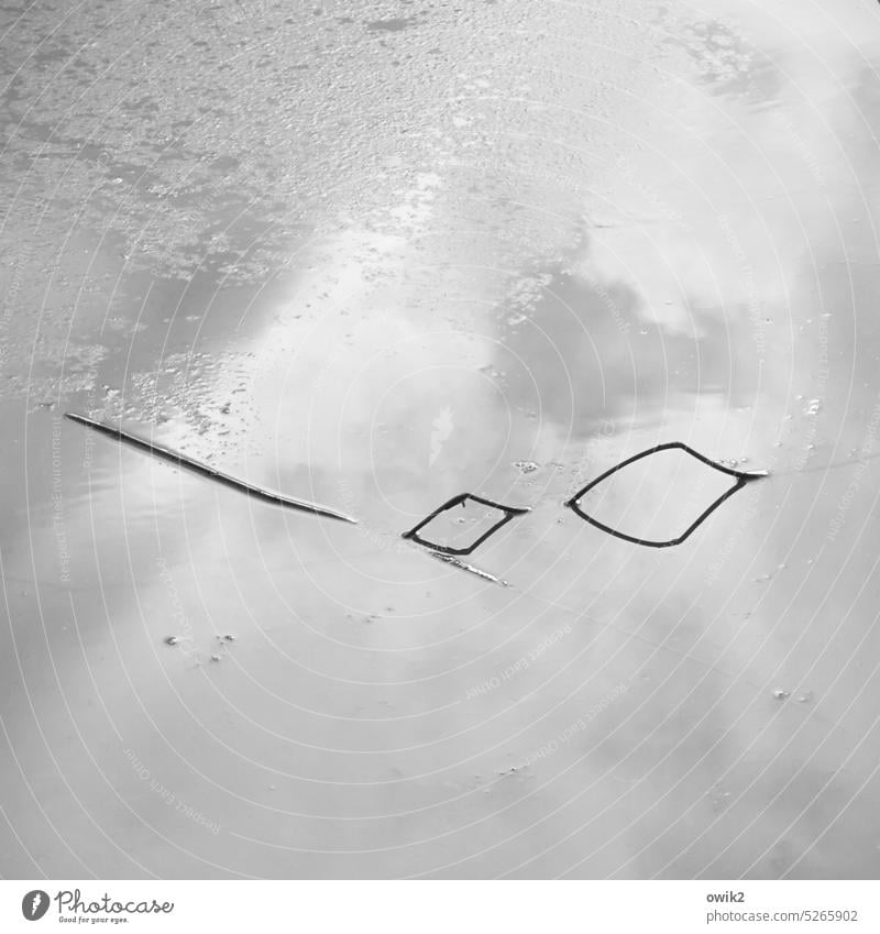 undercover Water reflection twigs Calm Beautiful weather Black & white photo Stationary naturally Blade of grass Under Surface of water windless Sunlight Simple