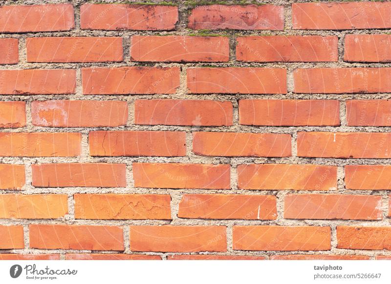 red old brick wall texture abandoned aged aging antique architecture backdrop background backgrounds basement brickwall brickwork brown building cellar concrete