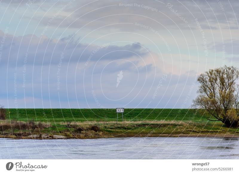 Elbe river kilometer 321 Elbufer Elbe kilometer Elbe kilometer 321 bank Dike River Exterior shot Colour photo Water Sky River bank Deserted blue ribbon