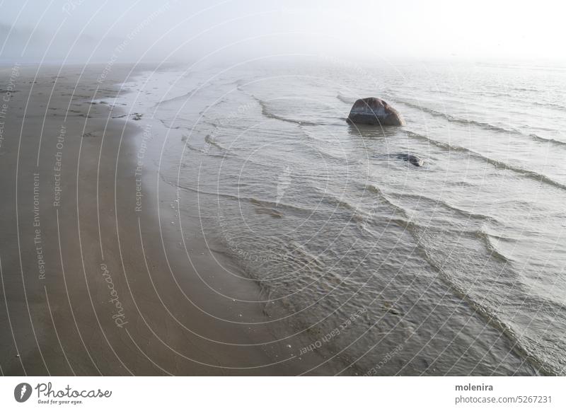 Fog on Baltic sea coastline at spring fog mist waves moody weather baltic sand beach haze overcast estonia nature low visibility water rock