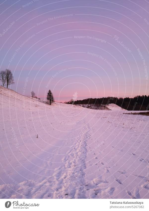 Pink-purple sunset over snow-covered hills in Kernavė Lithuania in winter Purple Violet Blue pink sky pink sunset Sunset colorful colourful Evening Twilight