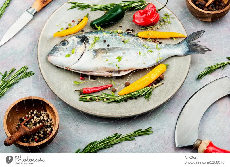 Raw dorado fish or sea bream fresh raw seafood uncooked whole preparation rosemary herb delicious healthy diet dorada table spice cuisine omega mediterranean