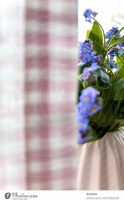 Forget-me-not at the window flowers Ostrich Window Curtain Drape Checkered Pink Blue Vase covert Blossom House (Residential Structure) room Window board