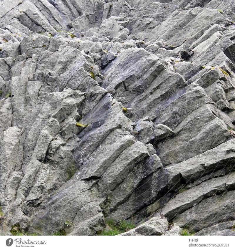 Traces of the past - basalt fans at Hirtstein in the Ore Mountains Basalt fan shepherd's stone Erz Mountains Past Lava solidified lava geological phenomenon