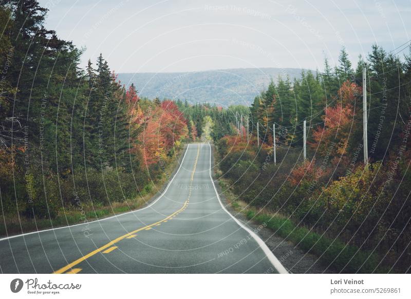 Road Trip in Fall road road trip journey nature vacation highway adventure landscape travel scenic freedom fall Nova Scotia Cape Breton Island Canada alone