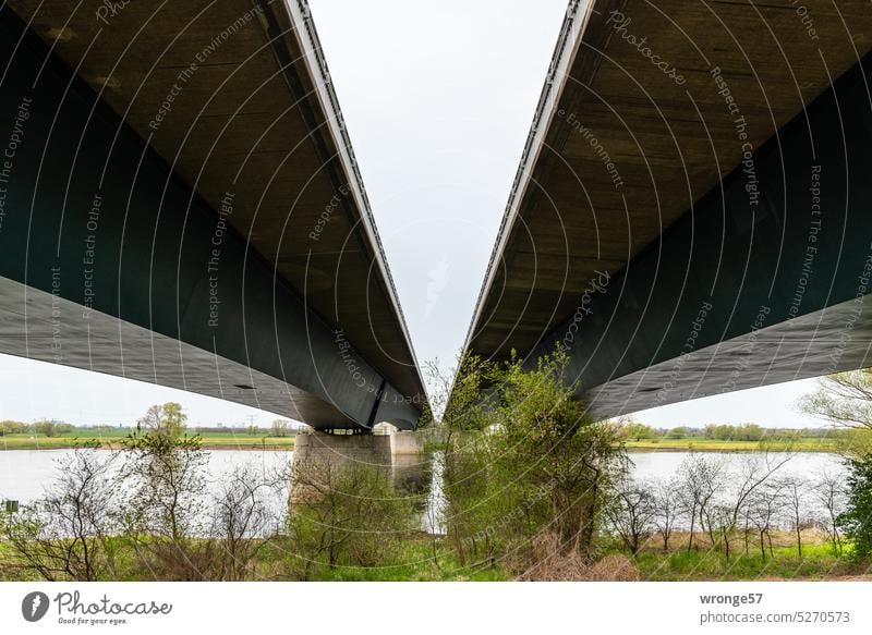 Freeway bridges of the A2 over the Elbe near Hohenwarthe a2 Highway 2 Elbe crossing bottom view Worm's-eye view River Traffic infrastructure Bridge Street