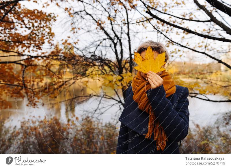 Faceless portrait of a short-haired blonde in the autumn in the park woman Hiding Obscured Covering In front of maple leaves fallen leaves chilly Autumnal