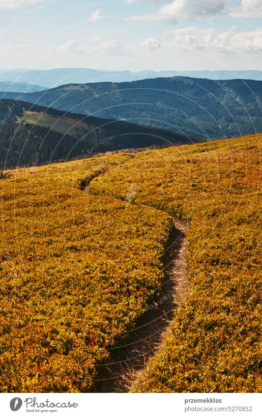 Mountain landscape. Scenic view of mountain peaks, slopes, hills and valleys covered with foggy slopes and valleys. Panoramic view nature trip vacation panorama