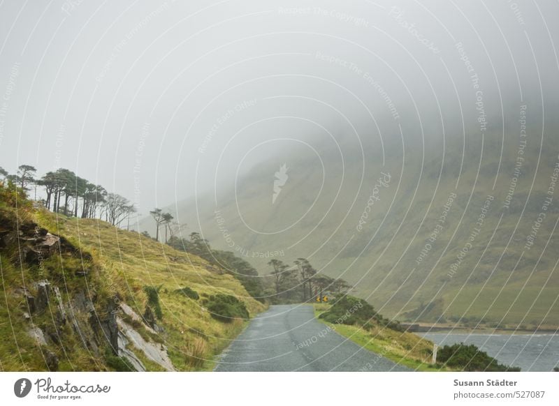 ireland Street Ireland Connemara Lake bank Rock Fog Misty atmosphere Mountain trees meadows