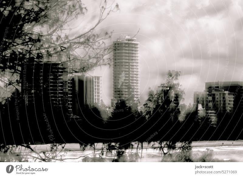 Curious Burleigh Heads High-rise vegetation Environment Low-key Double exposure Twigs and branches Silhouette by the sea Reaction Experimental Illusion Fantasy