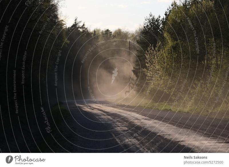 Winding country road with dust cloud through the forest at sunrise. Spring landscape. background empty environment fall fog green leaves light natural nature