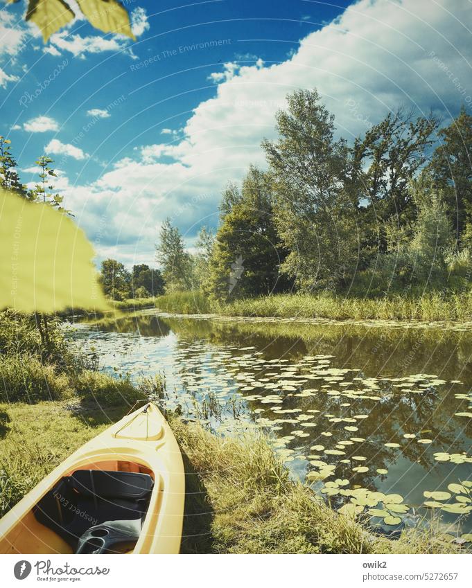 Canoe break Nature Landscape Exterior shot Water Wanderlust Longing Paddling Peaceful bank Sunlight Calm snug Flow Channel Canal bank Bushes Grass Rowboat Sky