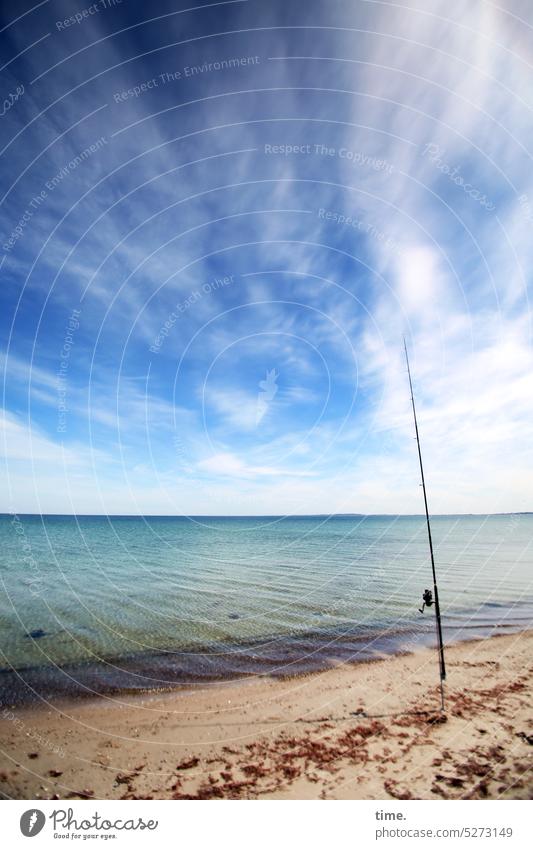 Fishing, sea and long time angel Nature Environment Sky Horizon Clouds far afar naturally Fishing (Angle) Beach Sand Ocean Waves Seaweed Baltic Sea spring