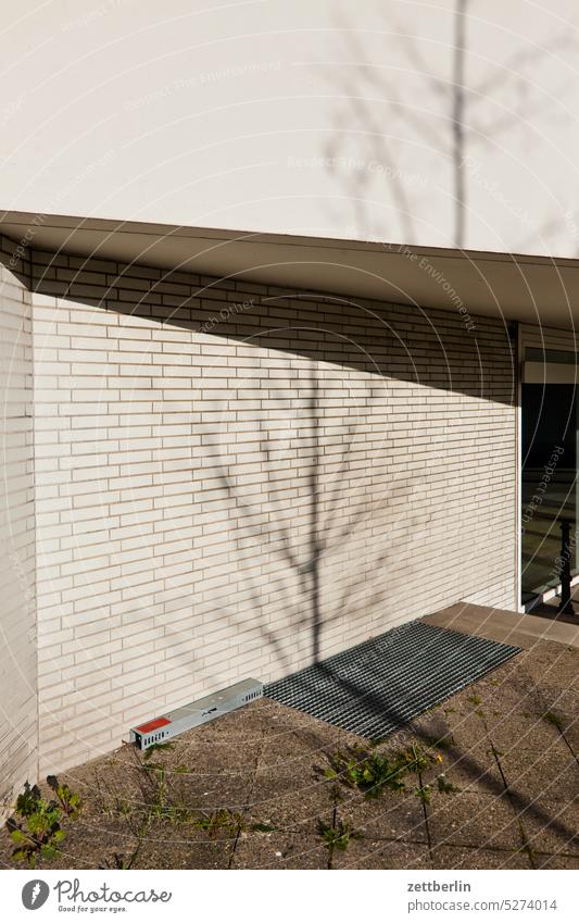 Shade of a little tree in spring Architecture on the outside avant garde Bauhaus Berlin Berlin Philharmonic Facade Hans Scharoun Concert Concert Hall