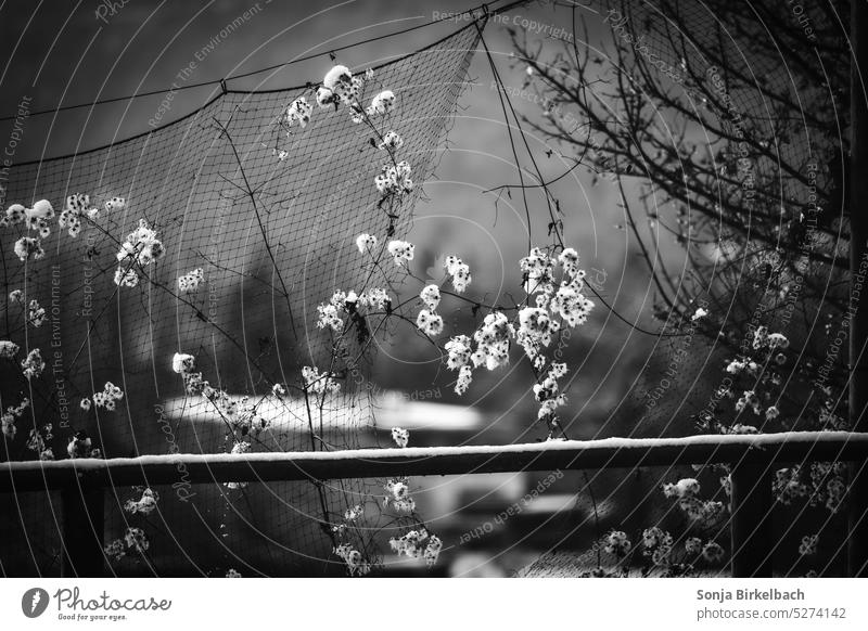 trapped in the light Light Shadow Light and shadow Sunlight Contrast Shadow play Shaft of light Pattern Structures and shapes Abstract Light and shadow play