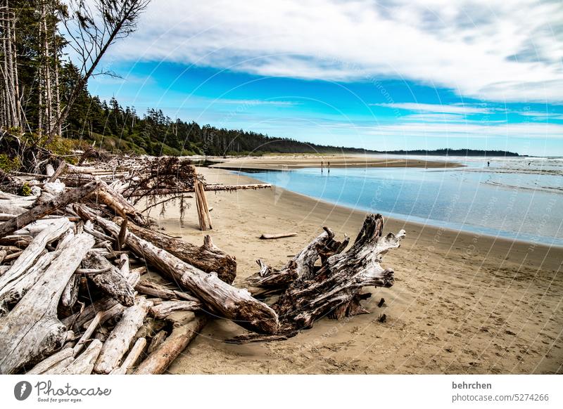 washed up British Columbia Long Beach Vancouver Island especially Canada North America Water Lonely Loneliness Far-off places Vacation & Travel Ocean