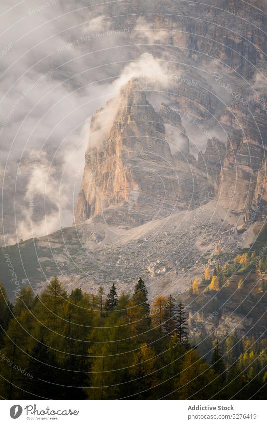 Mountain ridge with coniferous trees mountain landscape forest valley range nature highland sky dolomite italy environment picturesque fog cloudy scenery scenic