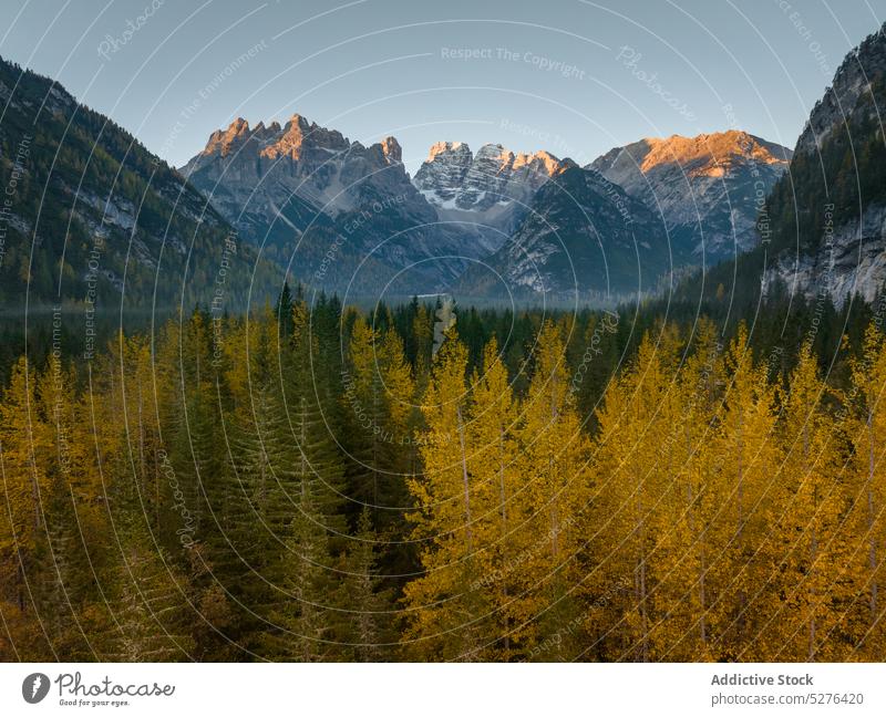 Majestic landscape with mountains and coniferous trees range valley snow ridge nature highland dolomite italy environment scenery picturesque scenic travel peak