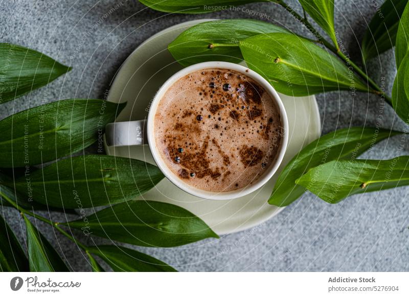 Cup of cappuccino and green leaves above americano background beverage cappucino ceramic coffee coffee break concrete cup drink espresso foam good morning grey