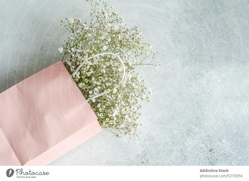 Pink paper bag and white Gypsophila floral Gypsophila muralis Psammophiliella annual gypsophila background bloom blossom color concrete cushion baby's-breath