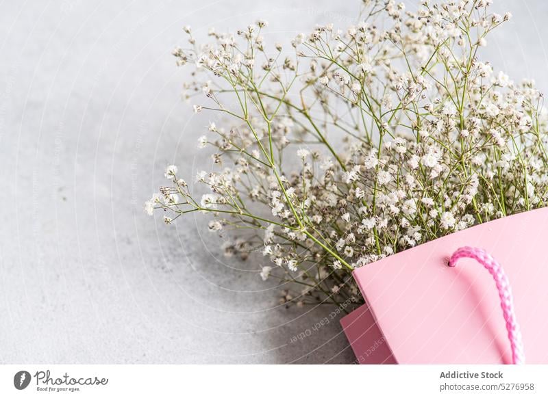 Pink paper bag and white Gypsophila floral Gypsophila muralis Psammophiliella annual gypsophila background bloom blossom color concrete cushion baby's-breath