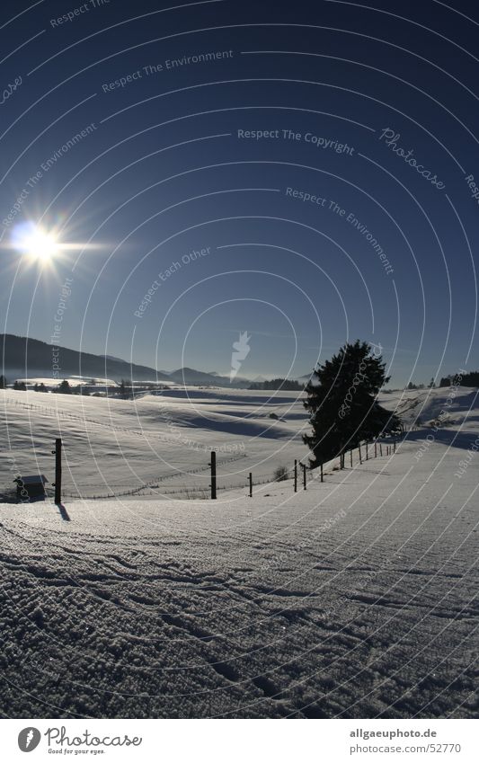 king's winter Königswinkel valley Allgäu Roßhaupten Ostallgäu district Winter Dream landscape feet Snow Sun