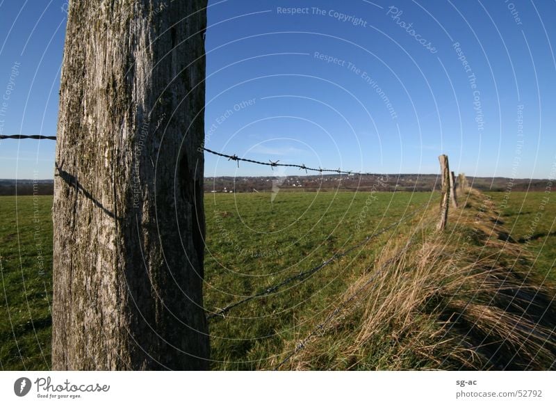 fence post Eifel Meadow Fence Barbed wire Grass Livestock Highlands Blue sky Pasture Pasture fence Wood Green