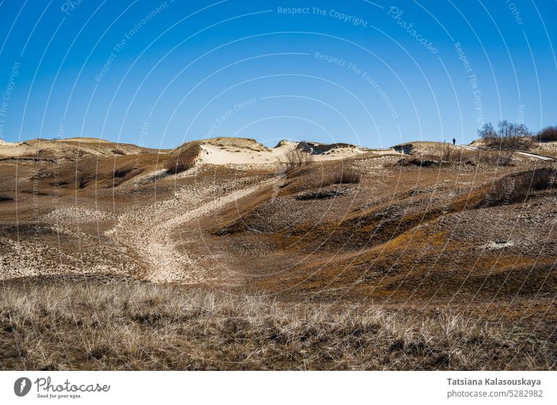 The Gray Dunes, or the Dead Dunes is sandy hills with a bit of green specks at the Lithuanian side of the Curonian Spit Neringa desert wind erosion landscape