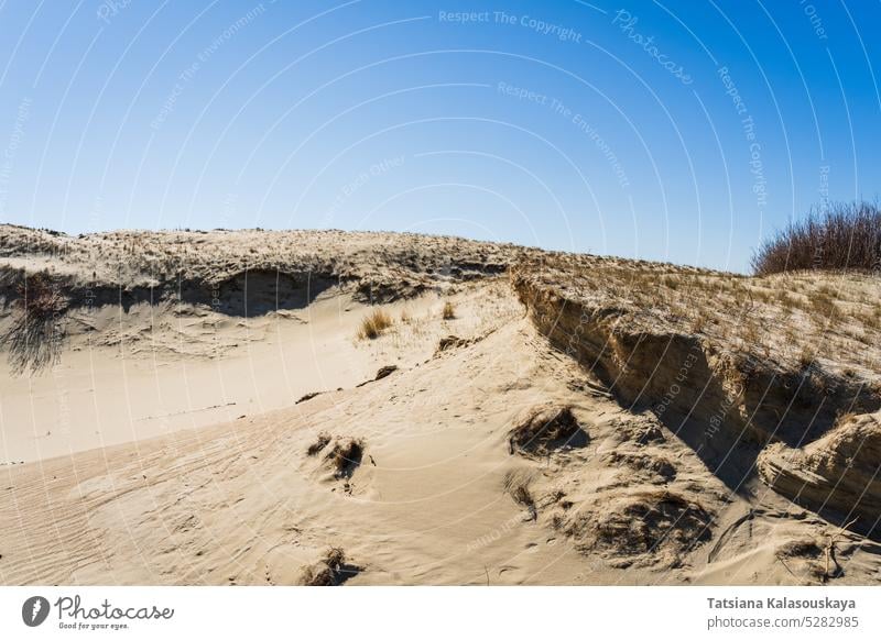 The Gray Dunes, or the Dead Dunes is sandy hills with a bit of green specks at the Lithuanian side of the Curonian Spit Neringa desert wind erosion landscape