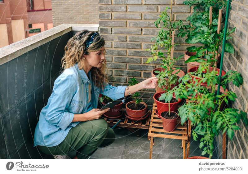 Woman checking plants of urban garden on terrace while holding digital tablet in hand rooftop woman female gardener leaf gardening patio apartment residential