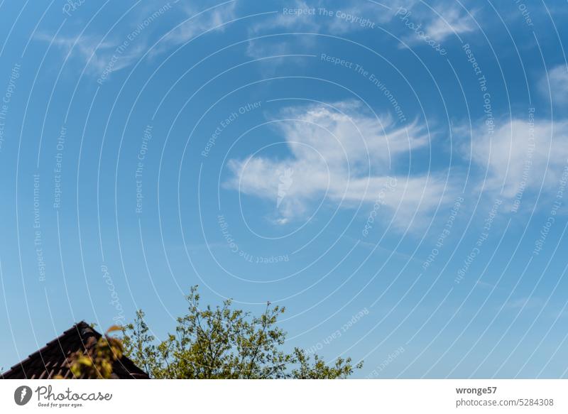 An angel over the house Clouds Cloud formation Sky Exterior shot Cloud field Angel figure Illusion dream house roof Tree tops Cloud pattern