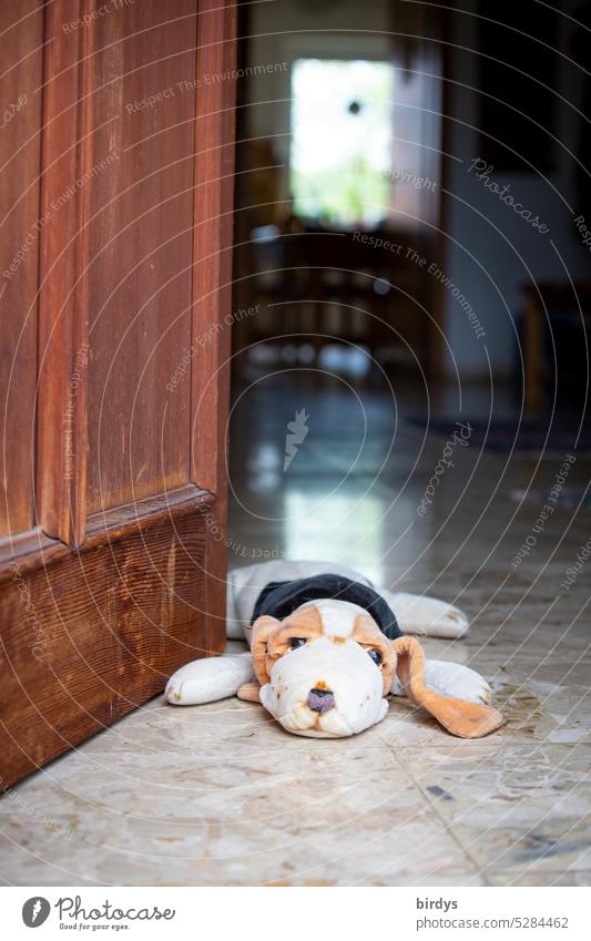 Guard dog in front of open front door Entrance Open Front door House (Residential Structure) hall Hallway Dog stoffhund Living or residing watchdog