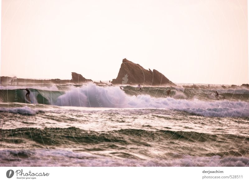 Joy of life while surfing in the sea with surf. In the background rocks are visible. Athletic Well-being Leisure and hobbies Ocean Waves Aquatics