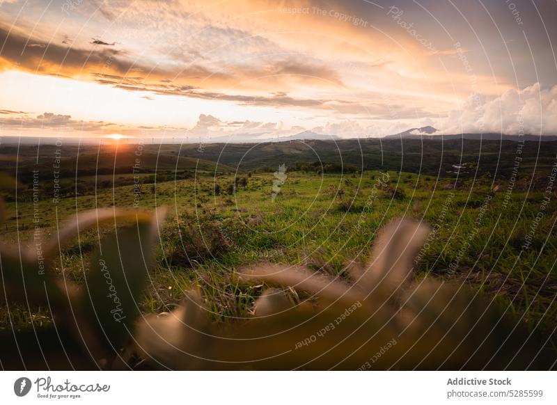 Sunset sky over green field nature grass meadow landscape sunset scenic costa rica sundown cloudy evening environment picturesque grassland scenery idyllic