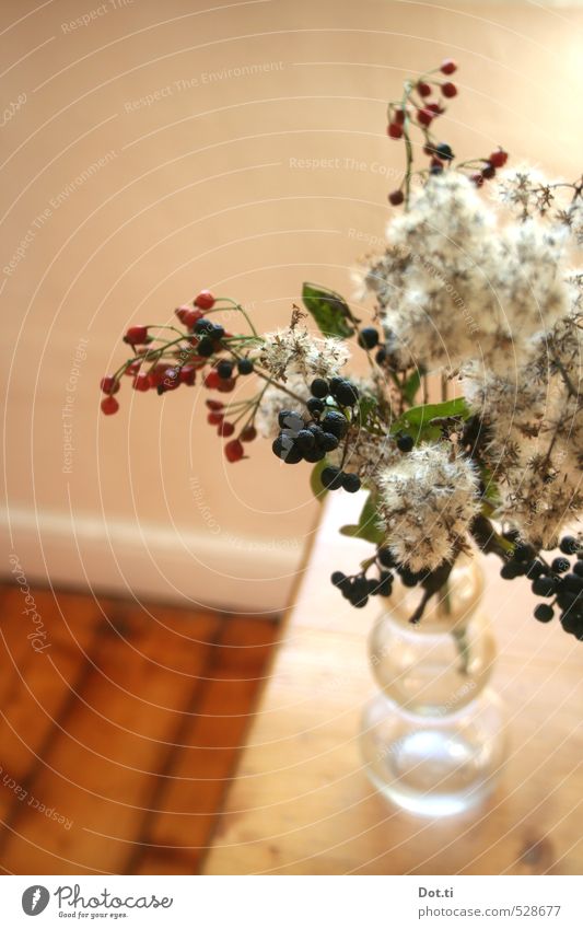 autumn again Living or residing Flat (apartment) Table Autumn Plant Decoration Wood Moody Berries Twigs and branches Rose hip Vase Wild plant Autumnal Arranged