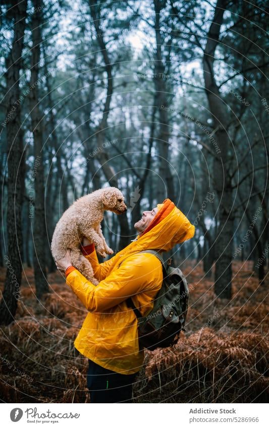 Backpacker holding puppy in autumn forest man owner dog pet happy affection smile bonding companion woods male woodland overcast delight glad active weather guy