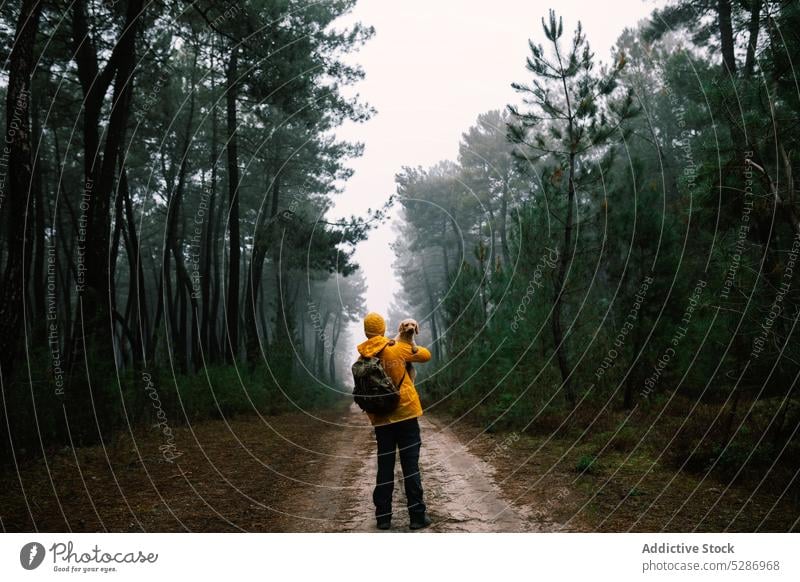 Owner holding small dog in woods in fall tourist owner puppy forest path tree pet pathway autumn woodland explore overcast footpath weather scenery road