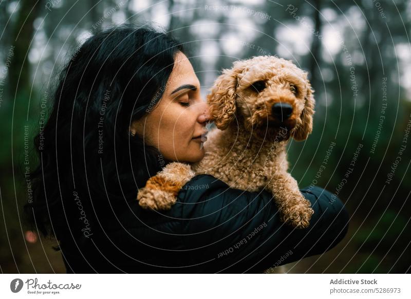 Lady with little dog in fall woodland woman owner pet puppy forest path tree woods pathway female autumn overcast eyes closed footpath affection bonding weather