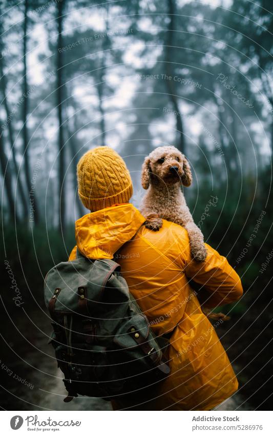 Owner holding small dog in woods in fall tourist owner puppy forest path tree pet pathway autumn woodland explore overcast footpath weather scenery road