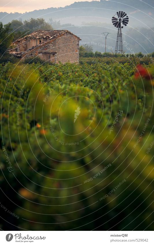 French Style XXXIII Art Esthetic Contentment Nature Loneliness Deserted France Morning fog Provence Windmill Romance Natural Colour photo Subdued colour