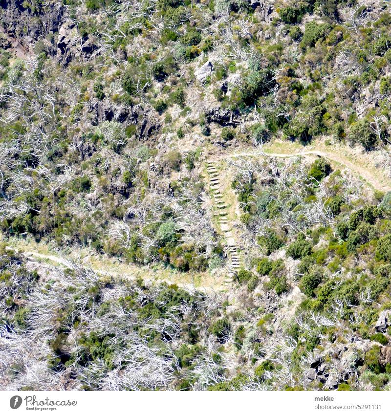 Zigzagging through the undergrowth Lanes & trails Hiking Mountain Landscape Vacation & Travel Nature Deserted Adventure Sky Tourism hiking Winding road Curve